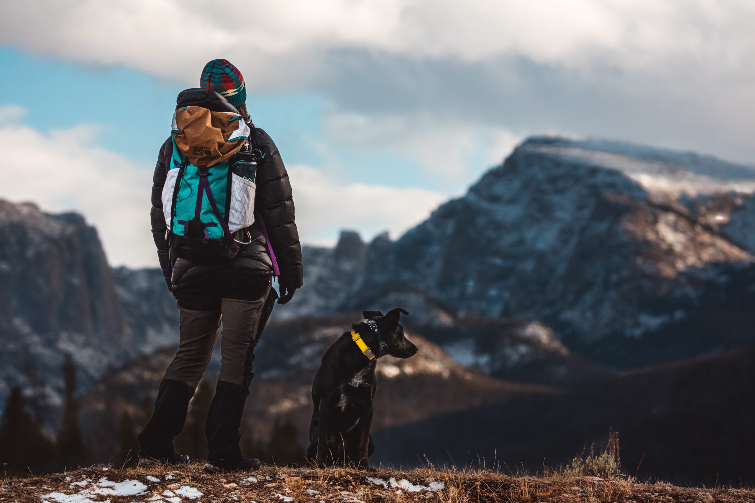 puppy hiking